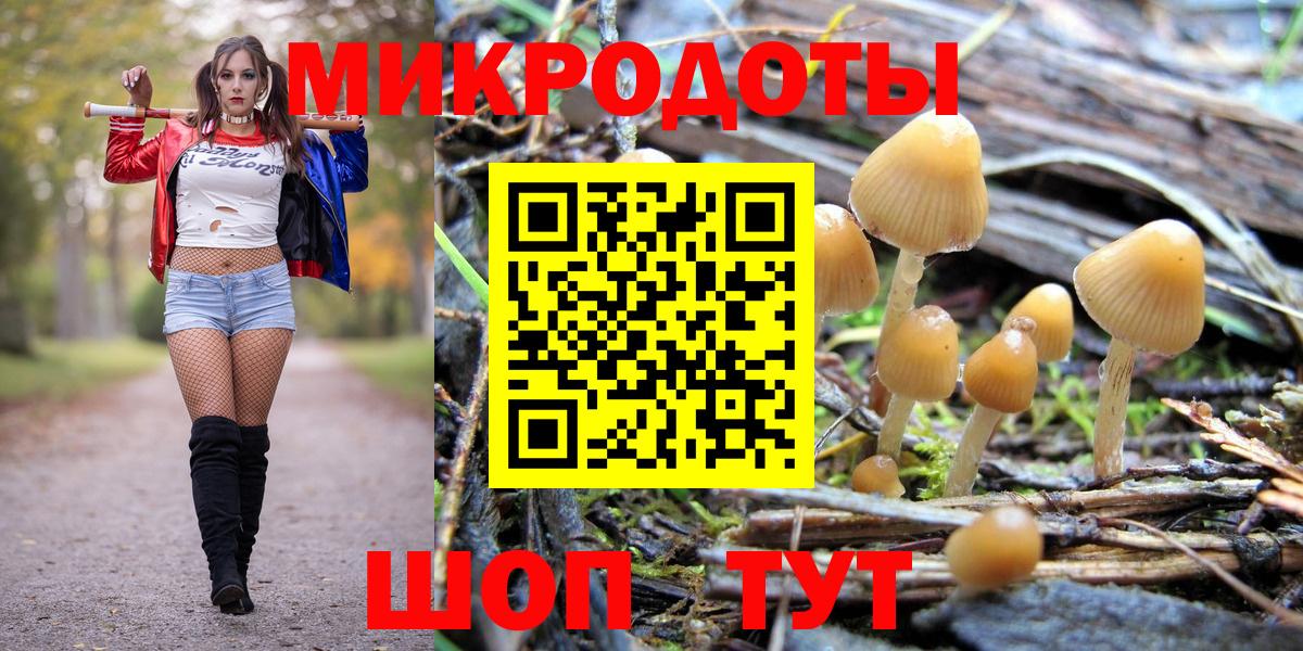 Галлюциногенные грибы Psilocybine cubensis  Вход с VPN  закладки  Ноябрьск  Галлюциногенные грибы Psilocybe 